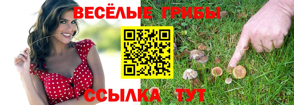 Псилоцибиновые грибы Cubensis  наркошоп  Тейково  Псилоцибиновые грибы ЛСД  Вход с VPN 